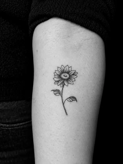 Tatuaje fine line de un girasol en un antebrazo