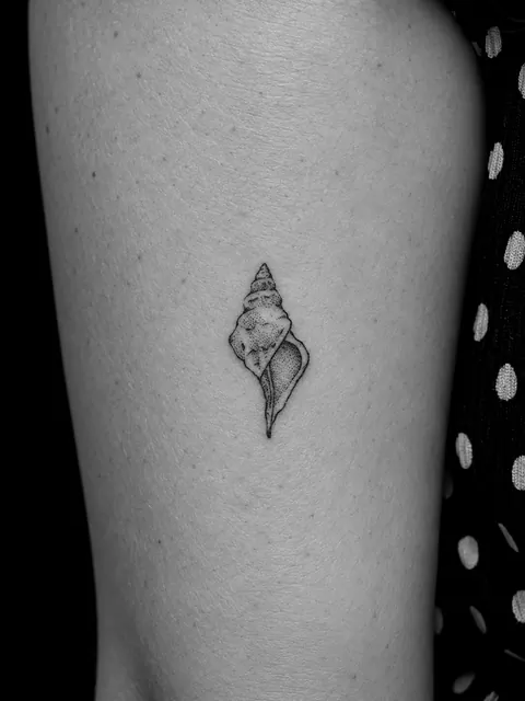 Tatuaje pequeño de una caracola sombreada con puntos finos en la parte superior de un brazo